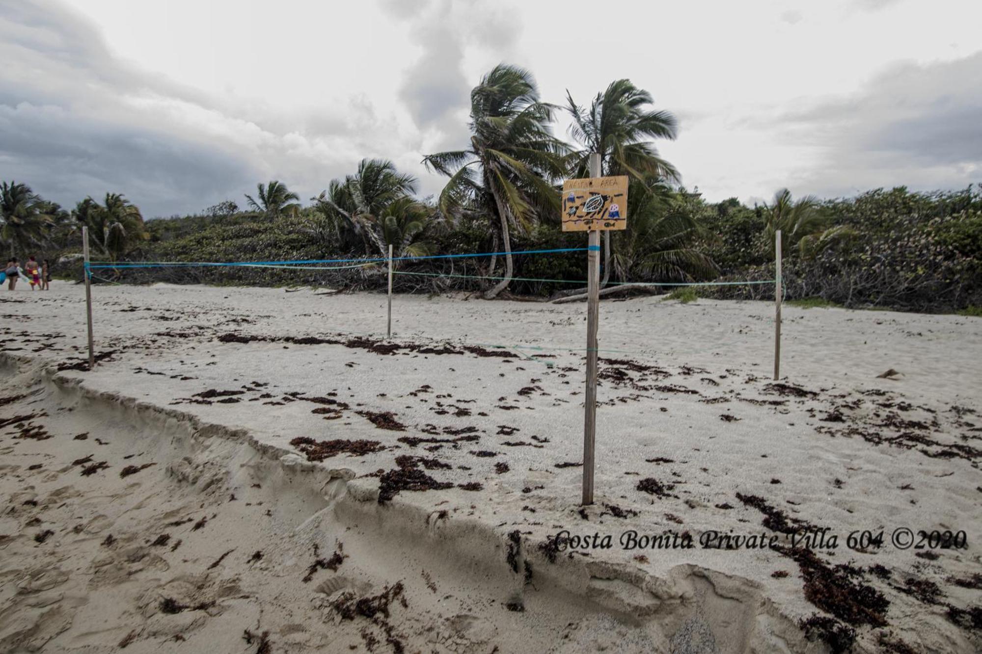 Costa Bonita Private Villa 604 Isla Culebra エクステリア 写真